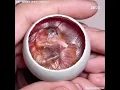 Download Lagu How A Chick Born From A Egg 🐣 - Interesting Video - 😱