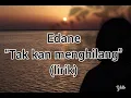 Download Lagu Edane - Tak kan Menghilang