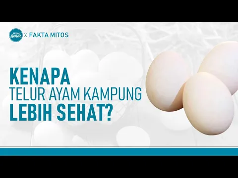 Telur Ayam Kampung Lebih Sehat Dari Telur Ayam Ras? Ini Kandungan Gizinya