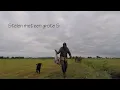 Download Lagu Jagen - Stelen met een grote S.