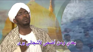 زدني محمد البشير هاشم 