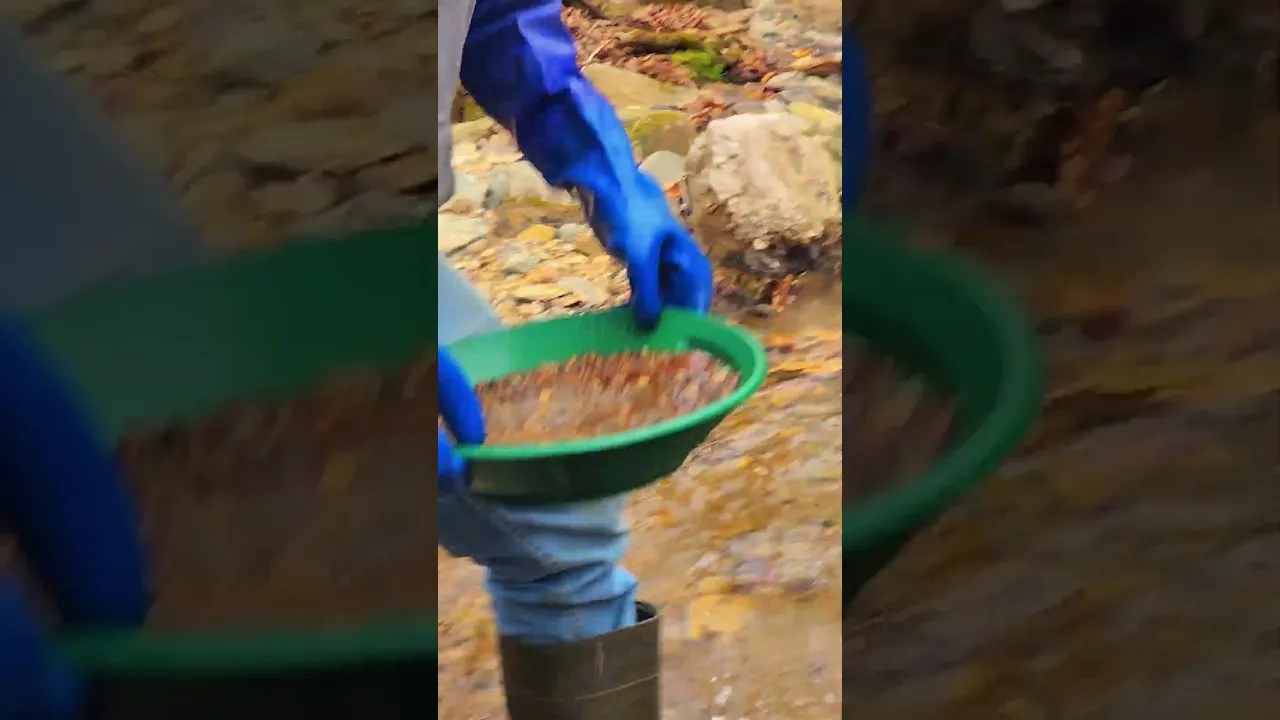 Gold Panning