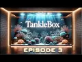 A New City A New Passion How a Facebook Marketplace Deal Changed Everything TankleBox Ep 3