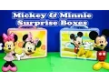 Download Assistant Opens Mickey and Minnie Surprise Lunch Boxes and Toys mp4 3gp mp3 videos - waplic