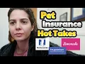 Veterinarian Discusses Pet Insurance Pros and Cons Trupanion Nationwide Lemonade