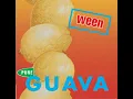 Ween - Push Th' Little Daisies (Sub. Español)