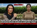Lagu KISAH NYATA❗GADIS CANTIK PETANI JAGUNG H4BISI KETUS PR3M4N PALING K3J4M DI LAMPINH TIMUR