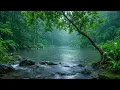 Healing Music for Stress, Anxiety and Depression: Your Mind, Body and Soul Healed