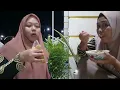 Download Lagu UNTUNG BELUM MASAK ⁉️ MAKAN PEMPEK SATU MANGKOK PENUH