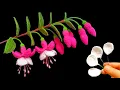 How To Crochet Fuchsia Flower A Closer Look at the Petals Part 2