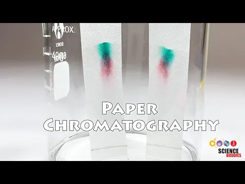 Download MP3 Paper Chromatography | Science Project