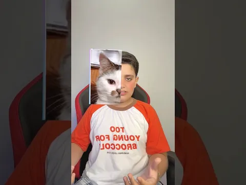 مين بشبه😂🐆🐱