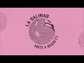 MOTi x DES3ETT - La Salinas