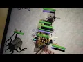 How to defeat the vinegaroon in Pocket ant and show you how to battle