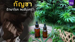 กัญชาใช้รักษาโรคอะไรได้บ้าง ตามที่แพทย์กล่าวในวิดีโอ