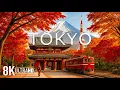 Lagu Tokio in de herfst 8K UHD 🍁 Rode esdoorns, stadsparken en vredige Japanse straten 🍂