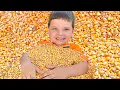 CALEB GOES to THE PUMPKIN PATCH Kids Trip to the Farm with Halloween Pumpkins and PETTING ZOO