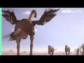 Download Oviraptorid Fights to Protect Nest | Planet Dinosaur | BBC Earth mp4 3gp mp3 videos - waplic