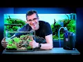 Download Lagu NANO AQUASCAPE - Let's Build a Nano Tank for the Beautiful Shrimp
