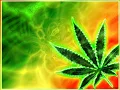 Collie Buddz - Come Around