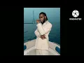 Burna boy -Rollercoaster lyrics ft j. balvin