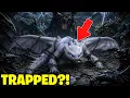 The Hidden World Was SECRETLY A Prison 10 HTTYD Secrets You Missed