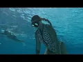 swimming in the DEEP END