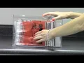 Keep Specimen Bags Neatly Organized in Your Lab