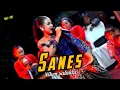 Download Lagu SANES - NIKEN SALINDRY - CAMPURSARI SURYA BUANA