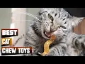 Best Cat Chew Toy You Should Choose Once