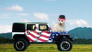 U.S.A  National Anthem by Cats