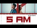 Zaeden - 5 am Lyrics Video in Hindi/ Rom/ English translated (Color Coded Version)