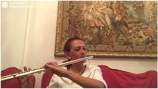 Love Thème Romeo And Juliet Flute Cover  Love Thème Romeo And Juliet Flute Cover