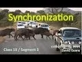 Synchronization
