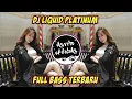 Download Lagu DJ Liquid Platinum Full Beat Full Bass Tik Tok | Jedag Jedug Terbaru 2022