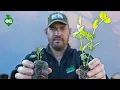 We Tested 8 Seed Starting Mixes Here s What We Learned