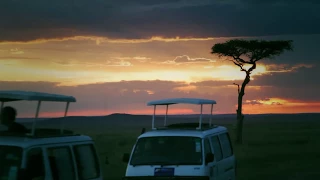 Afrika'da Safari