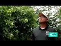 OK Farms Hawaii Connecting community to the aina on the Big Island