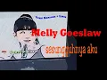 Lagu melly goeslaw sesungguhnya aku karaoke