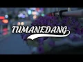 Download Lagu Dj Tiktok viral TUMANEDANG [ remix ]