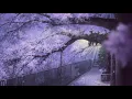 this is me trying - taylor swift (slowed+reverb)