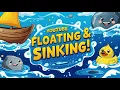 Floating and Sinking Why Objects Float Fun Science for Kids Kiddie Science Toon