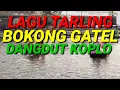 LAGU TARLING BOKONG GATEL DANGDUT KOPLO