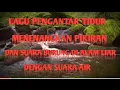 Download Lagu Lagu Pengantar Tidur Menenangkan Pikiran dan Suara Burung di Alam Liar Dengan Suara Air