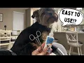 Dog Ear Powder for Hair Removal with Advanced Ear Powder for Dogs Plucking Review