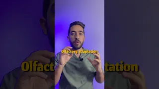 ليه مابنشمش ريحة بيتنا وبنشم ريحة مميزة لبيوت الناس Medical اكسبلور Medicine طب صحة  ليه مابنشمش ريحة بيتنا وبنشم ريحة مميزة لبيوت الناس Medical اكسبلور Medicine طب صحة