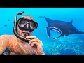 ZWEMMEN MET MANTA’S OP BALI! WAT EEN SPANNING!😳