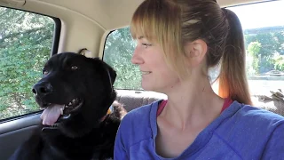 Salt & Tar Episode 31 – Part 1: Cabin Re-Remodel