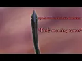 Arambourgiania philadelphiae Paleoart speedpaint Early morning terror