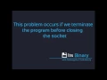 How to fix java net BindException Address aleady in Socket Programming use in linux environment